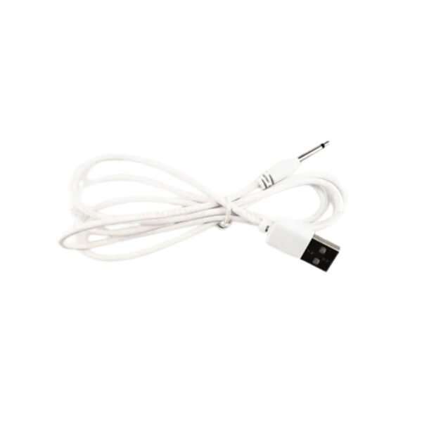 Cargador estándar para vibrador - Imagen 2