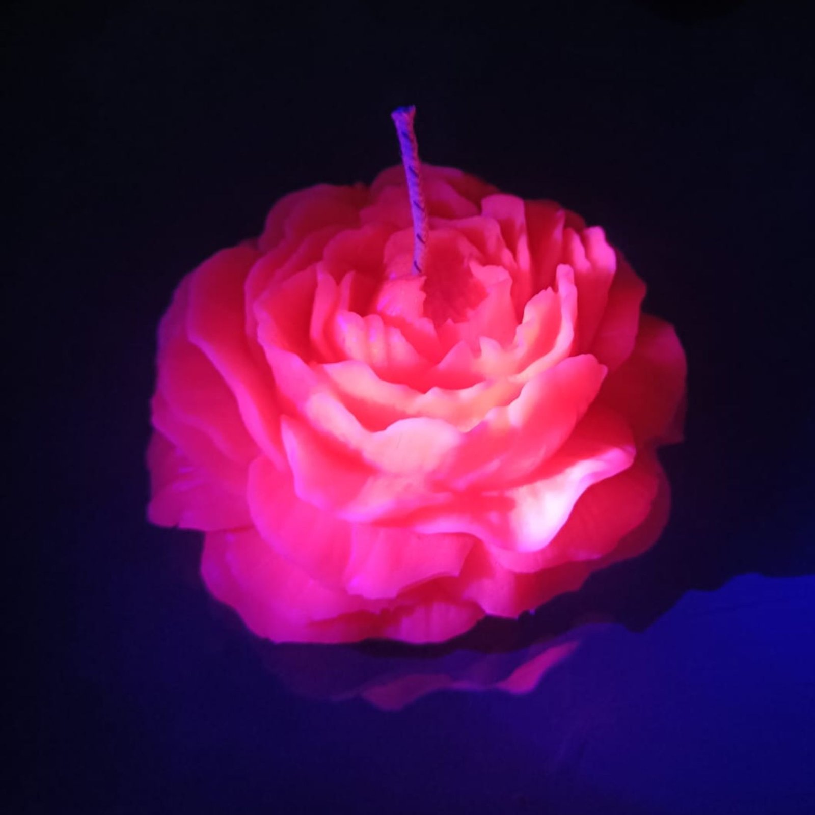 Vela de Flor – Velax Waxplay - Imagen 3