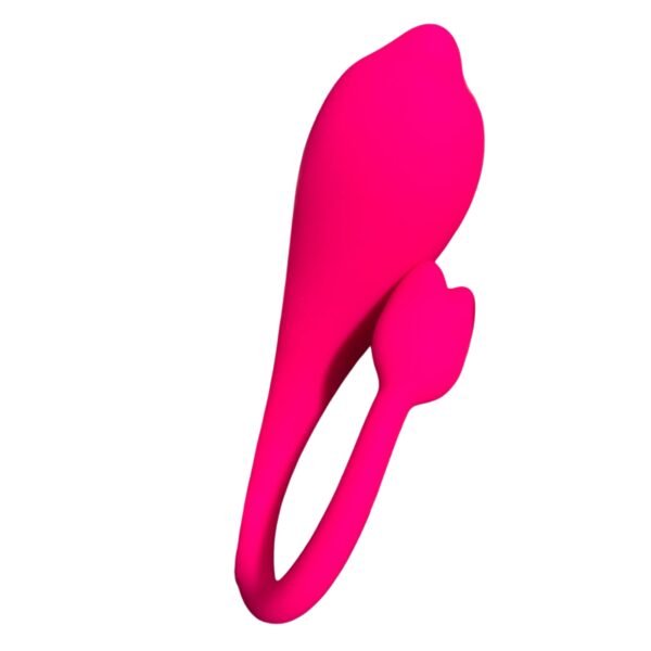 App Vibrador a Distancia con Aplicación Bluetooth – Pink Sex Toys Dolphin App+ Remote Egg Vibrator